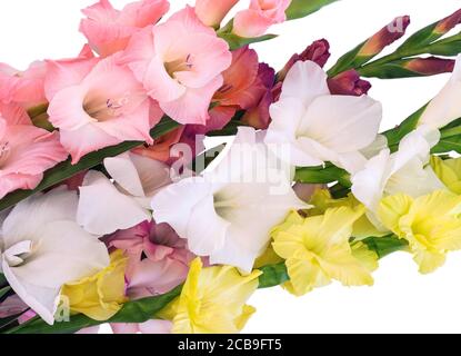 Blumen Komposition mit schönen Gladiolus isoliert auf weißem Hintergrund. Stockfoto