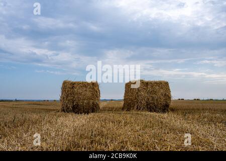 Strohballen in einem neu geernteten Feld. Blauer Himmel mit Wolken. Bild aus Scania, Südschweden Stockfoto