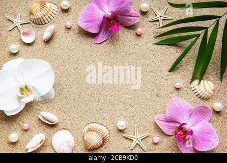 Muscheln im Sand mit Seesternen und Orchideenblüten als Grenze. Konzept „Sommerzeit am Strand“. Sommerstrand. Stockfoto