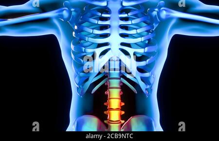 Illustrative Abbildung eines menschlichen Körpers mit dem lumbalen Teil der Wirbel, die Schmerzen und Entzündungen darstellen. 3d-Rendering. Stockfoto