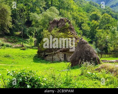 Verlassene traditionelle alte Strohdach Holzhaus in Apuseni Berge, Rumänien. Moos wächst auf dem Dach, grunge aussehende Haus im Wald in verlassen ein Stockfoto