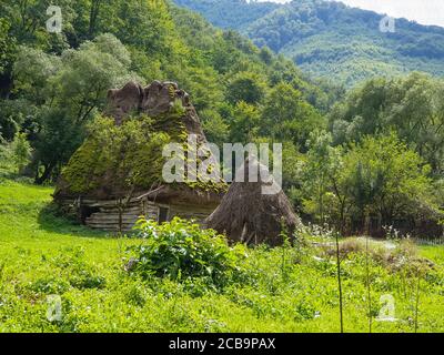 Verlassene traditionelle alte Strohdach Holzhaus in Apuseni Berge, Rumänien. Moos wächst auf dem Dach, grunge aussehende Haus im Wald in verlassen ein Stockfoto