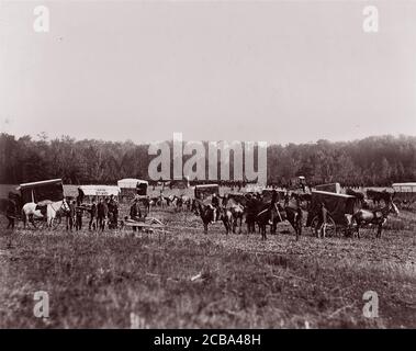 Removing Dead from Battlefield, Marye's Heights, 2. Mai 1864, 1864. Früher Mathew B. Brady zugeschrieben. Stockfoto