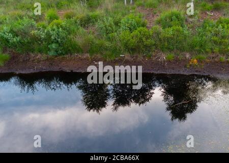 Ein kleiner Teich in einem Naturmoor spiegelt die Umgebung wider Stockfoto