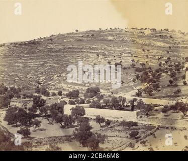 Garten von Gethsemane und das Grab der Jungfrau, Jerusalem, 1860er Jahre. Stockfoto
