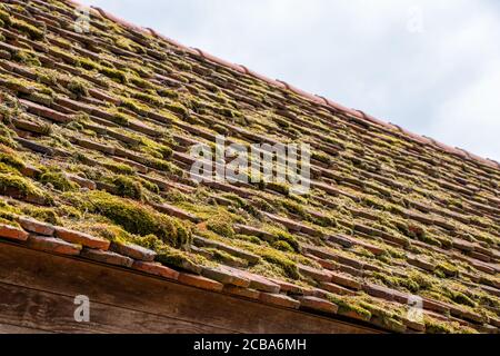 Nahaufnahme eines Daches auf einem alten Haus bedeckt Mit einem Moos Stockfoto