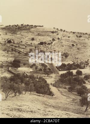 J&#xe9;rusalem. (Umgebung) Jardin Gethsemani et Mont des Oliviers, 1860 oder höher. Stockfoto