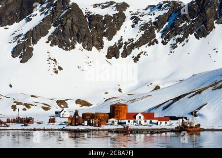 Ehemalige Walfangstation Grytviken, King Edward Cove, Südgeorgien, Südgeorgien und die Sandwichinseln, Antarktis Stockfoto