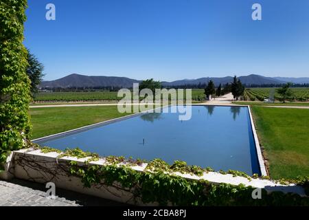 Weinberg im Casablanca-Tal, Santiago, Chile Stockfoto