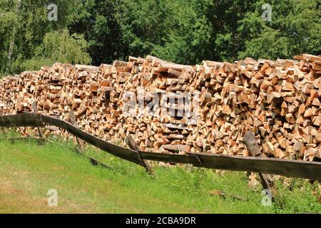 Holzstapel aus frisch geernteten Fichtenstämmen. Baumstämme im Wald geschnitten und gestapelt. Holzstämme Stockfoto