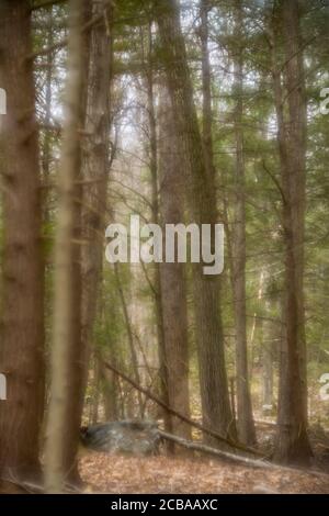 ASPETUCK TALWEG REDDING CONNECTICUT 06896 USA Stockfoto