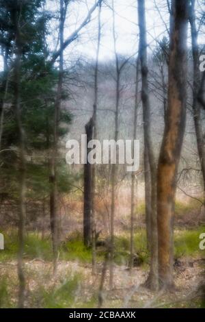 ASPETUCK TALWEG REDDING CONNECTICUT 06896 USA Stockfoto