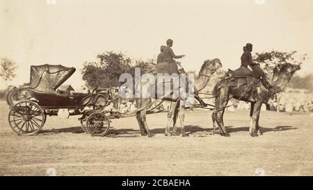 Eine Kamelbeförderung von Lahore nach Peshawar, Governor General's Camp, 1858-61. Stockfoto