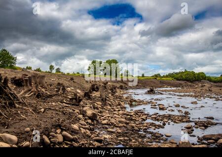 Baumstämme aus dem ehemaligen Flussufer in der entwässerten Earlstoun Dam / Stausee auf dem Wasser des Ken-Flusses, Galloway Hydro Electric Scheme, Dal ausgesetzt Stockfoto