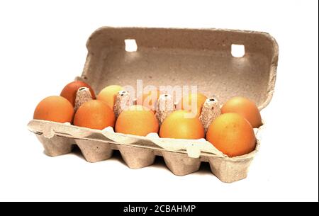 Zehn Eier in einer Kassette auf weißem Hintergrund isoliert Stockfoto