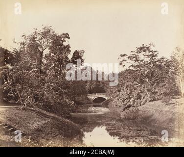 [Botanischer Garten, Kalkutta], 1850er Jahre. Stockfoto