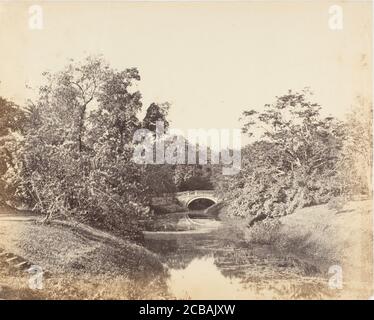 Botanischer Garten, Kalkutta, 1850er Jahre. Stockfoto