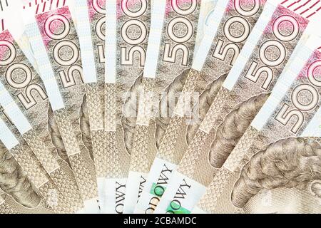 Republik Polen Währung. Viele fünfhundert polnische Zloty-Banknoten auf einem Tisch aus nächster Nähe. Business und Economy. Stockfoto