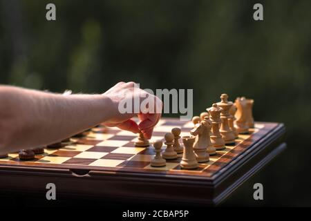 Die weibliche Hand bewegt die Spielfigur auf dem Schachbrett mit Satzteilen. Holzbrett und Schachfiguren. Ich Spiele Schach allein. Stockfoto