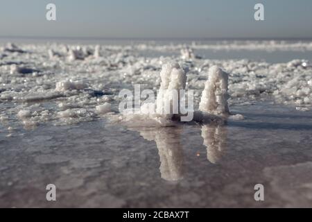 Zwei Salzkristalle bildeten sich am Ufer eines Sees mit hohem Salzgehalt. Stockfoto