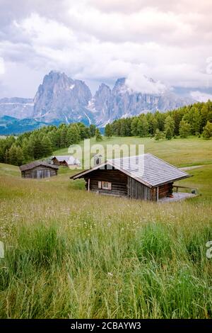 Seiser Alm - Seiser Alm mit Langkofel im Hintergrund bei Sonnenuntergang. Gelbe Frühlingsblumen und Holzhütten in den Dolomiten Stockfoto