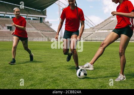 Eine Gruppe von Frauen, die auf dem Spielfeld Fußball spielen, um den Ball zu spielen. Weibliche Fußballspieler laufen auf dem Feld für den Besitz des Balls. Stockfoto