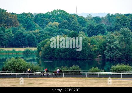 Ein allgemeiner Blick auf die Strecke, da Läufer und Fahrer sich auf den Weg zum Start für die Unibet 3 Uniboooooooooost A Day Nursery auf der Kempton Park Racecourse in Surrey machen. Stockfoto