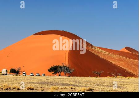 Naukluft National Park Namibia, Sossusvlei. Dune 45 ist eine Sterndüne im Sossusvlei-Gebiet der Namib in Namibia. Die Düne ist 80 bis 170 m hoch und CO Stockfoto