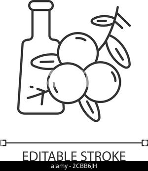 Lineares Symbol von Juniper. Kochendes Gewürz. Pflanzliche und traditionelle Medizin. Aromatherapie. Dünne Linie anpassbare Illustration. Kontursymbol. Vektor-iso Stock Vektor