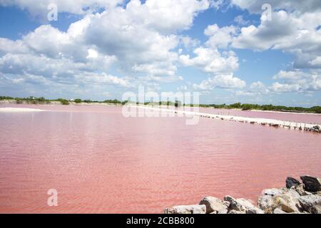 Rosa Wasser (Las coloradas), Merida Yucatan Stockfoto