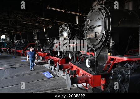 Chemnitz, Deutschland. August 2020. Historische Dampflokomotiven befinden sich im Rundhaus auf dem Gelände des Sächsischen Eisenbahnmuseums. Die Anlage ist eine der mehr als 100,000 vom Freistaat Sachsen gezählten Denkmäler und weist damit die höchste Dichte an Denkmälern in Deutschland auf. Sachsen hat in den vergangenen 30 Jahren mehr als 3.6 Milliarden Euro in den Denkmalschutz investiert. Nach Angaben der Landesregierung muss dieser Schatz bewahrt, aber auch sinnvoll genutzt werden. Quelle: Hendrik Schmidt/dpa-Zentralbild/dpa/Alamy Live News Stockfoto