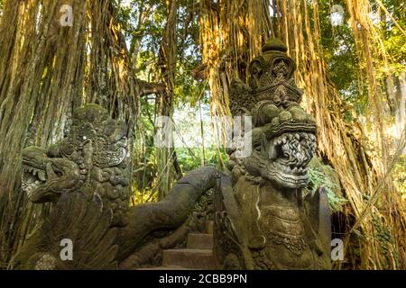 Landschaft im Affenwald in Bali, Indonesien Stockfoto