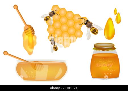 Honigset von Biene, Wabe, Dipper, Schüssel, Glas und Honig Tropfen isoliert auf weißem Hintergrund. Bio Food Design Konzept. Vektorgrafik für Aktien Stock Vektor