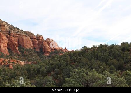 Ein Hain von immergrünen Bäumen, der auf einem roten Sandsteinhang am Devil's Bridge Trail in Sedona, Arizona, USA wächst Stockfoto