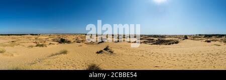 Panoramablick auf Oleschky Sands am blauen Himmel in der Cherson Region in der Ukraine, der größten Wüste Europas. Horizontale Aufnahme. Stockfoto