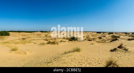 Panoramablick auf Oleschky Sands am blauen Himmel in der Cherson Region in der Ukraine, der größten Wüste Europas. Horizontale Aufnahme. Stockfoto