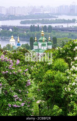 KIEW, UKRAINE - MAI 5,2019: Panoramablick auf Flieder Blumen in Hryschko National Botanical Garden am Hintergrund des Flusses Dnjepr und Vydubychi Monaster Stockfoto