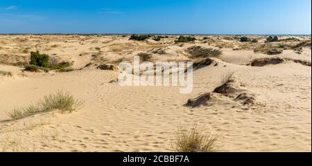 Panoramablick auf Oleschky Sands am blauen Himmel in der Cherson Region in der Ukraine, der größten Wüste Europas. Horizontale Aufnahme. Stockfoto