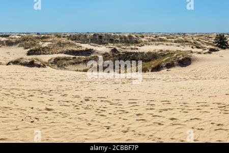 Panoramablick auf Oleschky Sands am blauen Himmel in der Cherson Region in der Ukraine, der größten Wüste Europas. Horizontale Aufnahme. Stockfoto