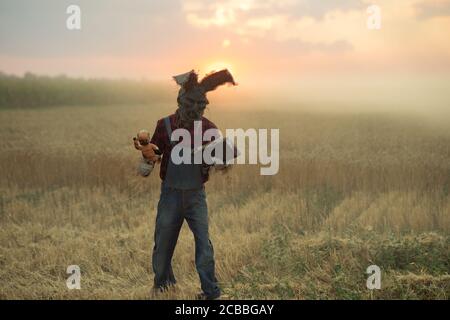 Der Mann im Bild des Zauberers im Hut mit Kaninchenohren führt ein Voodoo-Ritual durch und hält Puppe mit aufgespießenem Draht gegen den Sonnenuntergangshimmel im Feld. Stockfoto