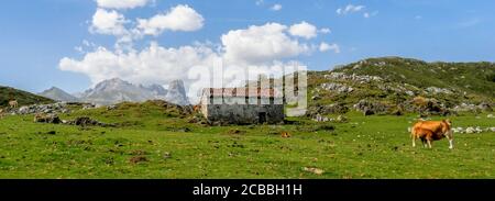 Panoramablick auf die Picos de Europa, hebt die herrliche senkrechte Wand von Naranjo de Bulnes. (Asturien/Spanien) Stockfoto