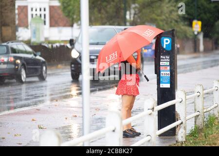 London, Großbritannien. 12. August 2020 EINE Hündin mit Regenschirm zahlt für ihren Parkplatz bei starkem Regen. Andrew Fosker / Alamy Live News Stockfoto