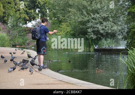 London, Großbritannien. 12. August 2020. Ein Mann, der die Enten in einem Teich im Walpole Park fütterte, an einem sonnigen Tag, an dem die britische Hitzewelle sechs Tage lang andauerte. Stockfoto