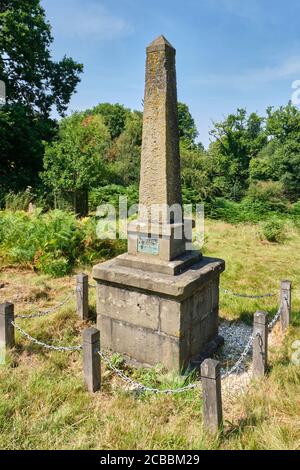 Säule markiert das Zentrum des Forest of Dean in der Nähe von Beechenhurst Woods, in der Nähe von Coleford, Forest of Dean, Gloucestershire Stockfoto