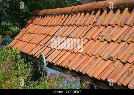 Altes hölzernes Bootshaus, Ziegeldach, Fischteich auf dem Gelände, Doddington Hall Estate, Lincolnshire, England. Schuppen, Lager, Deckel, Dachschutz. Stockfoto