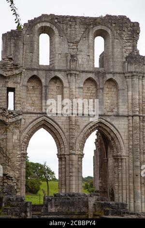 Roche Abbey, Gemeinde Maltby, Rotherham, South Yorkshire, Englisches Erbe, geplantes Denkmal, historische Stätte, Struktur, Garten, Umwelt. Stockfoto