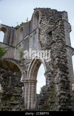 Roche Abbey, Gemeinde Maltby, Rotherham, South Yorkshire, Englisches Erbe, geplantes Denkmal, historische Stätte, Struktur, Garten, Umwelt. Stockfoto