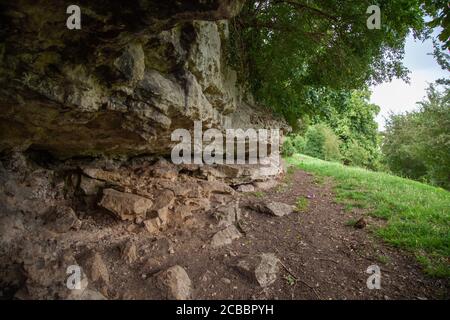 Roche Abbey, Gemeinde Maltby, Rotherham, South Yorkshire, Englisches Erbe, geplantes Denkmal, historische Stätte, Struktur, Garten, Umwelt. Stockfoto