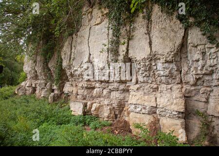 Roche Abbey, Gemeinde Maltby, Rotherham, South Yorkshire, Englisches Erbe, geplantes Denkmal, historische Stätte, Struktur, Garten, Umwelt. Stockfoto