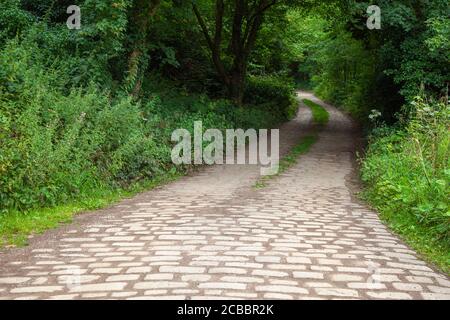 Roche Abbey, Gemeinde Maltby, Rotherham, South Yorkshire, Englisches Erbe, geplantes Denkmal, historische Stätte, Struktur, Garten, Umwelt. Stockfoto